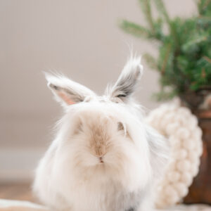 Music and Sound Experiences