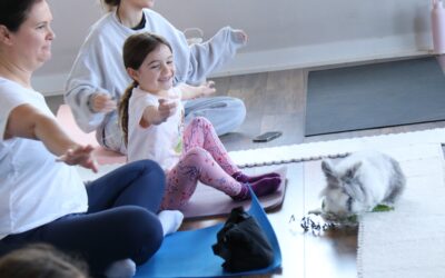 Family Relaxation with Bunnies